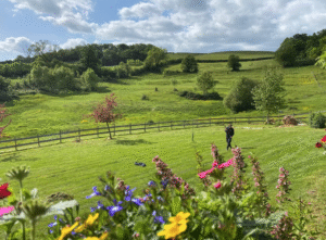 Schermafbeelding 2025 12 19 om 13.26.24