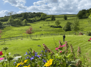 Schermafbeelding 2025 12 19 om 13.26.241 1